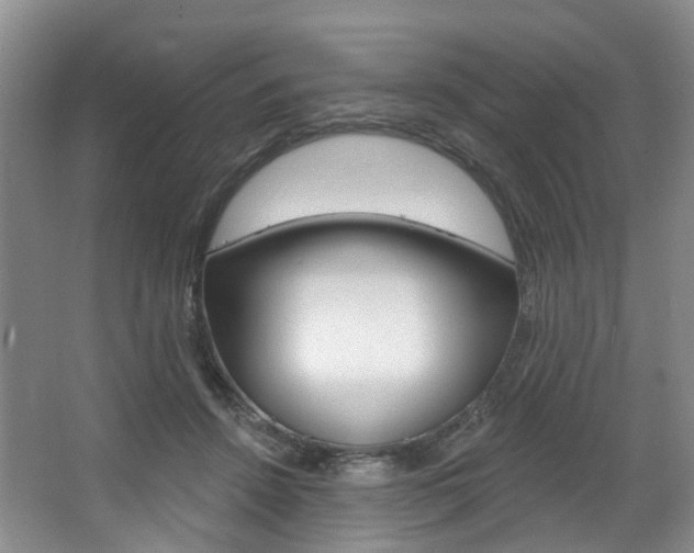 X0000068740456200604281020