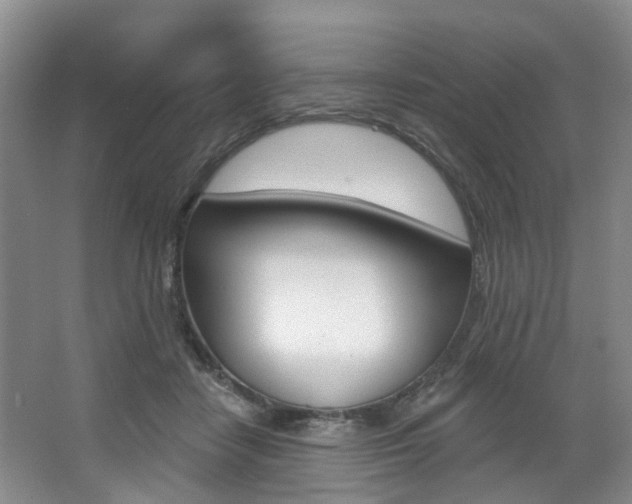 X0000068740458200604281020