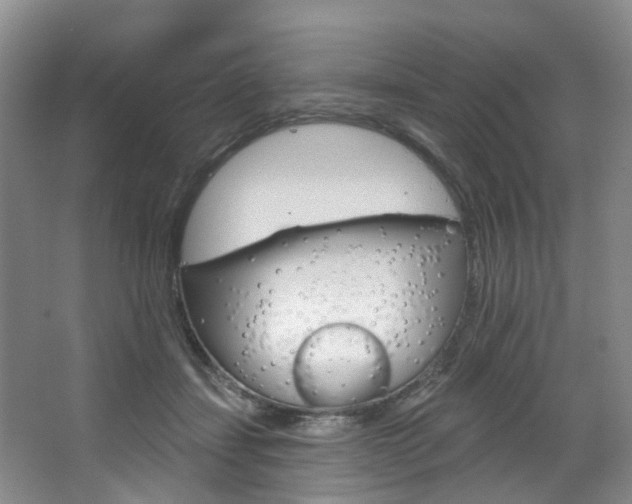 X0000068740459200604281020