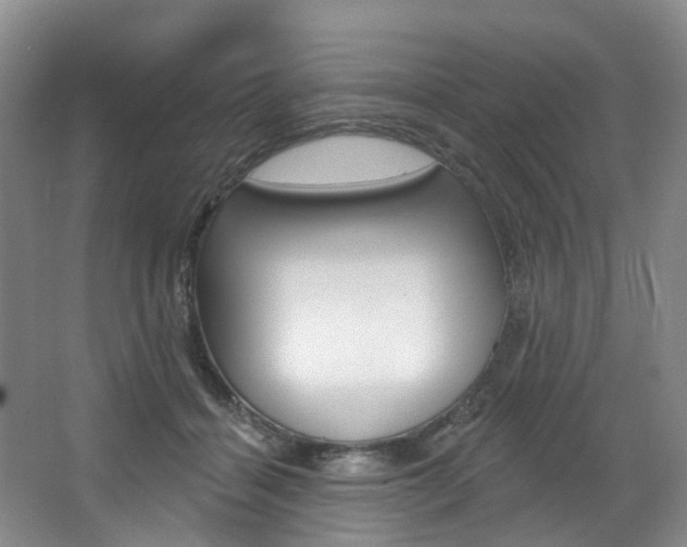 X0000068740460200604281020