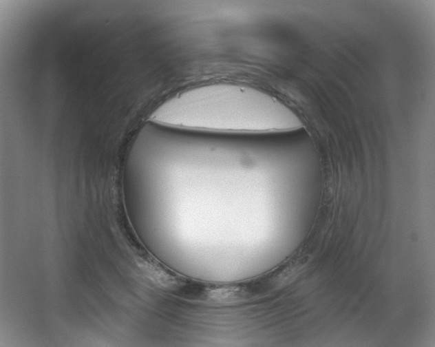 X0000068740461200604281020