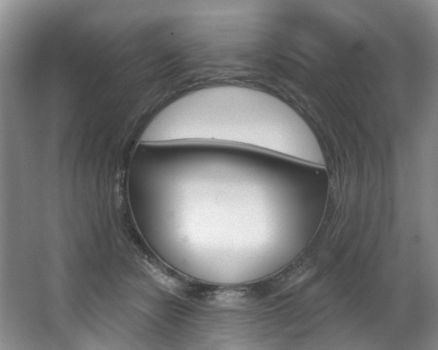 X0000068740462200604281020