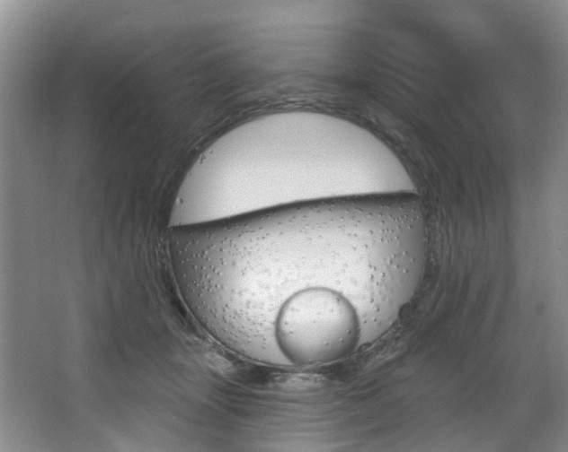 X0000068740463200604281020