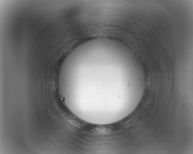 X0000068740464200604281020