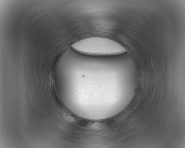 X0000068740467200604281021