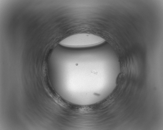 X0000068740468200604281021