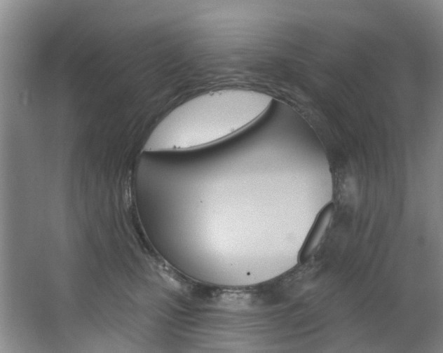 X0000068740471200604281021