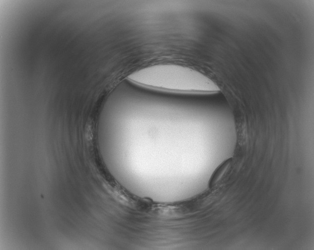 X0000068740472200604281021