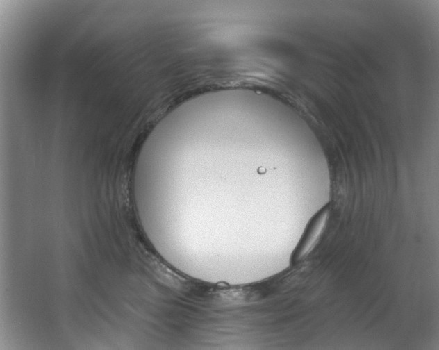 X0000068740473200604281021