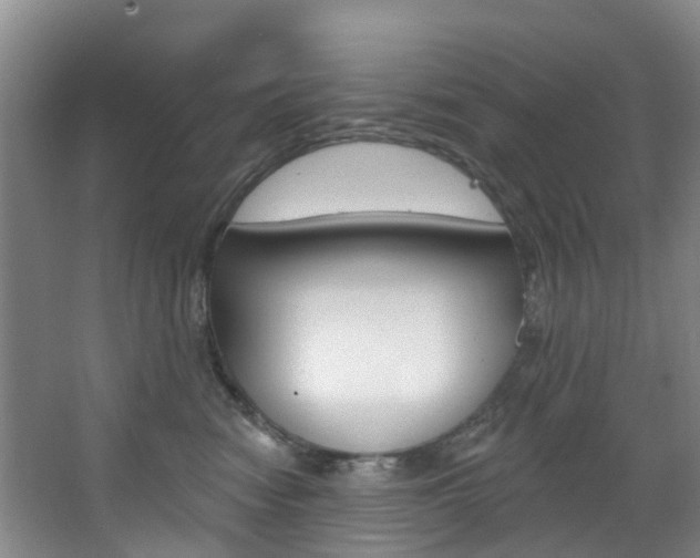 X0000068740474200604281021