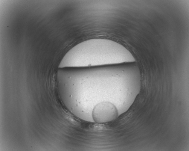 X0000068740475200604281021