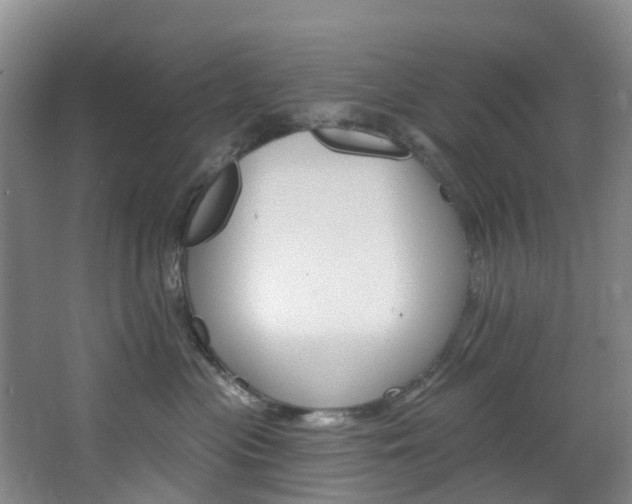 X0000068740477200604281021