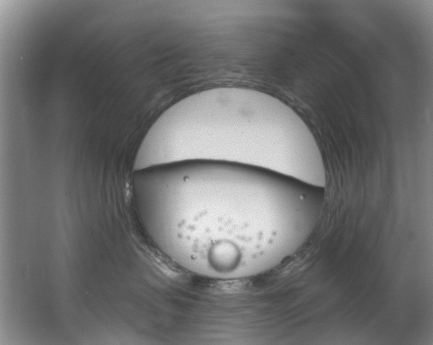 X0000068740479200604281021