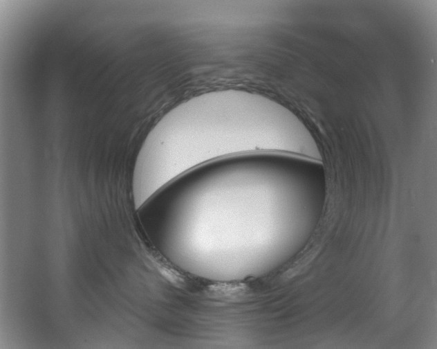 X0000068740480200604281021