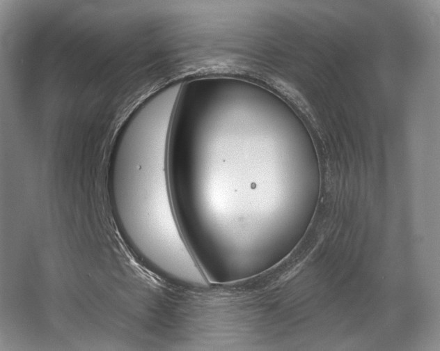 X0000068740481200604281020