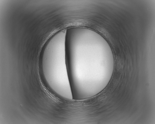 X0000068740482200604281020