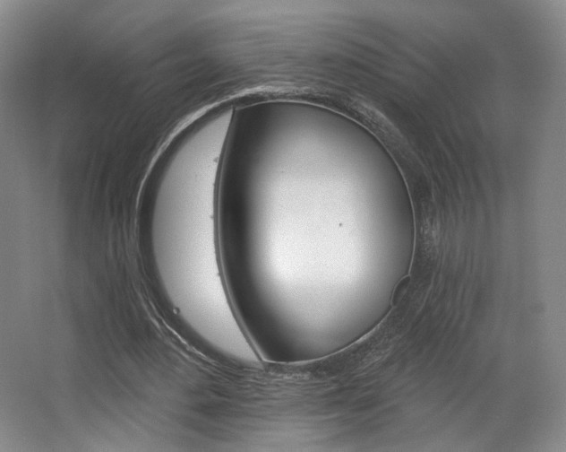 X0000068740484200604281020