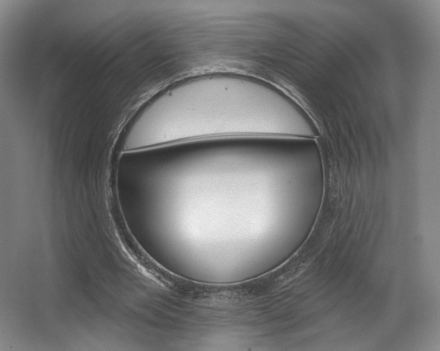 X0000068740485200604281020