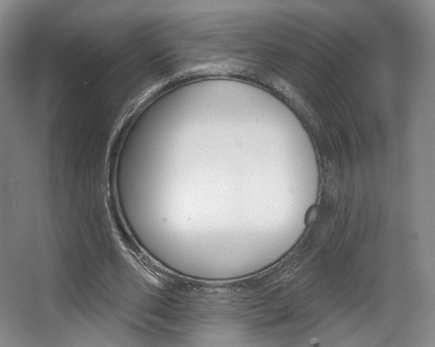 X0000068740486200604281020