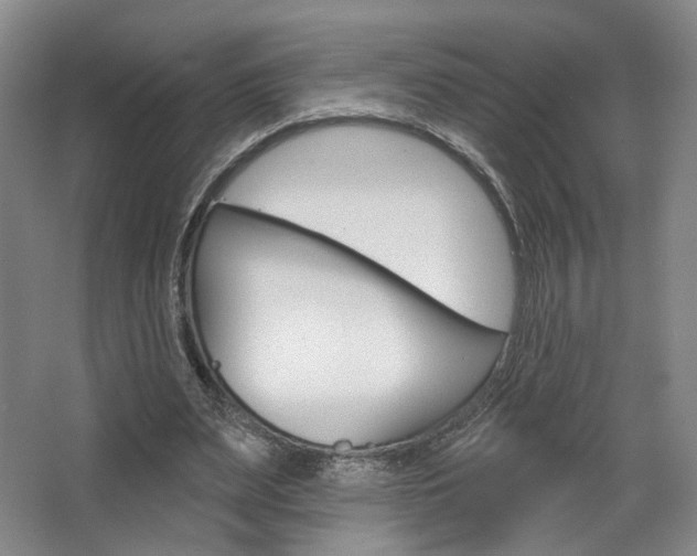 X0000068740487200604281020