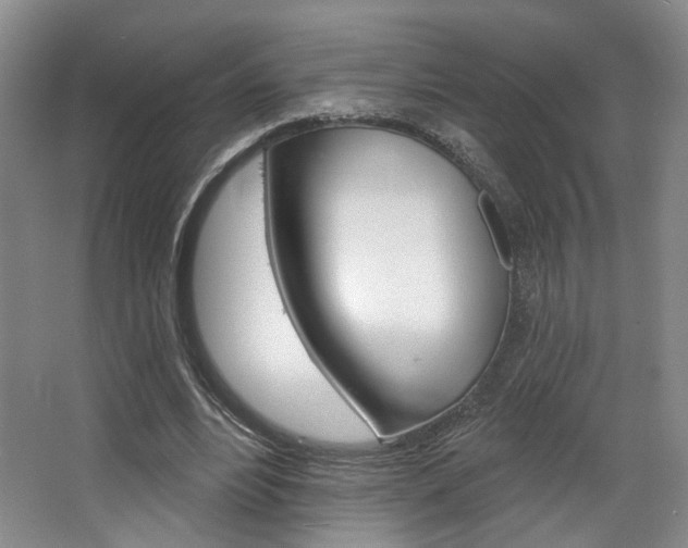 X0000068740488200604281020