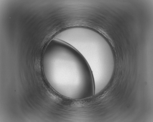 X0000068740489200604281020