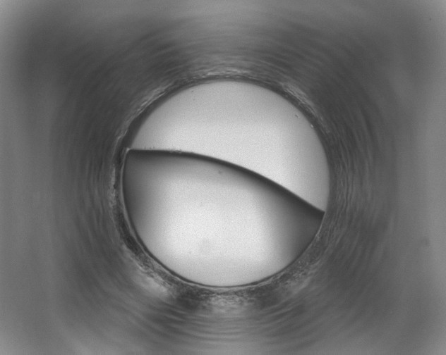 X0000068740490200604281020