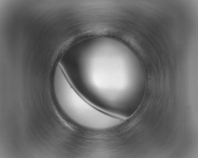 X0000068740493200604281020