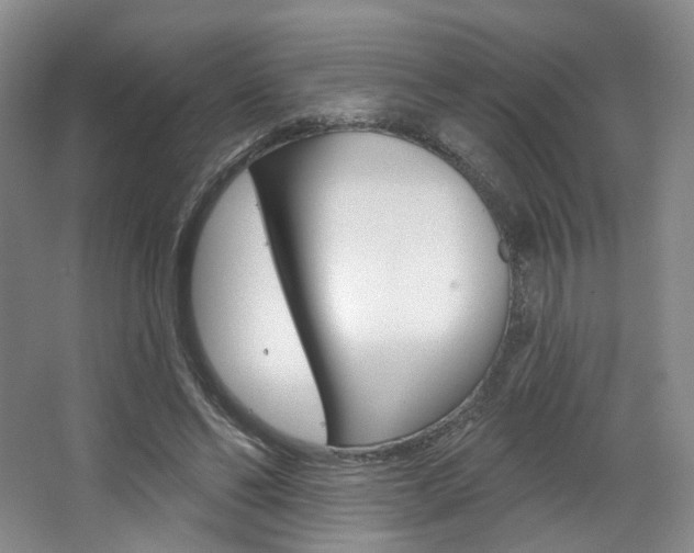 X0000068740494200604281020