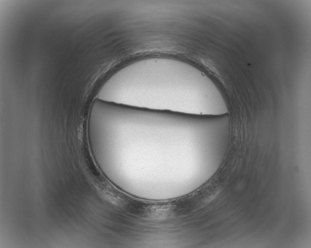 X0000068740495200604281020