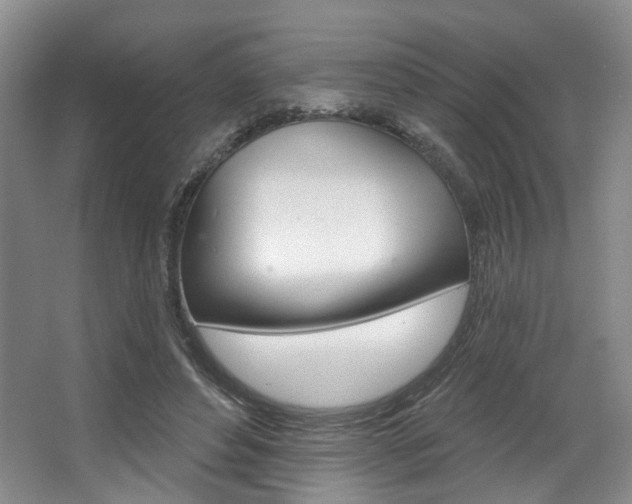 X0000068740496200604281020