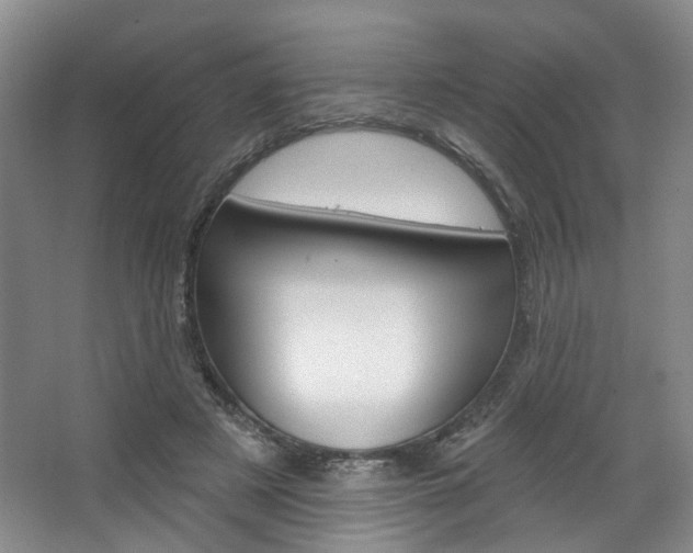 X0000068740497200604281020