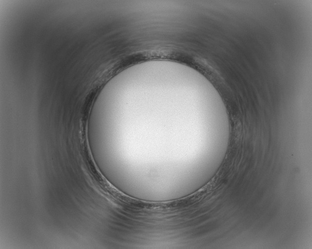 X0000068740498200604281020