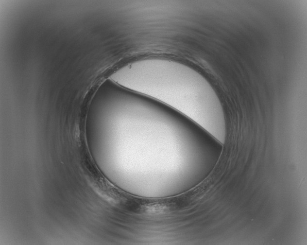 X0000068740500200604281020