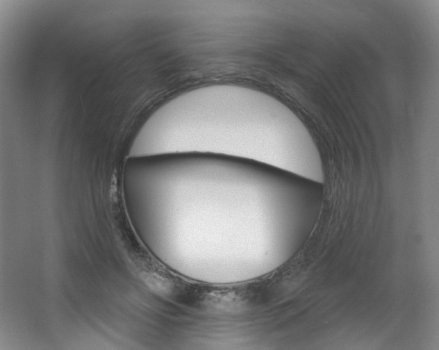 X0000068740502200604281020