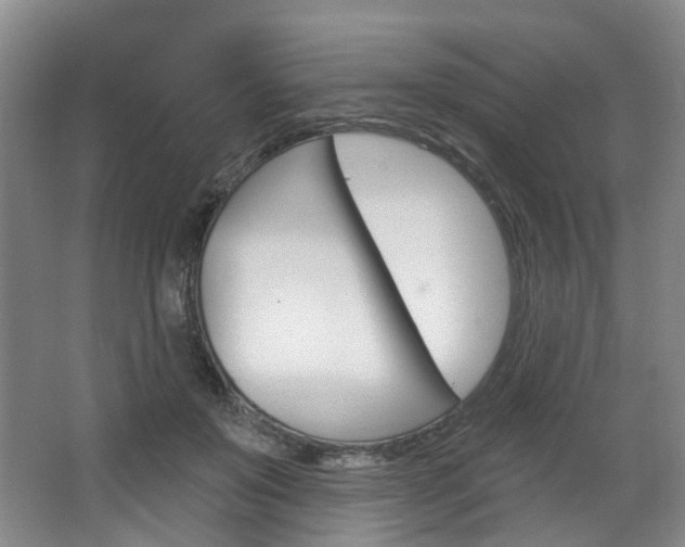 X0000068740503200604281020