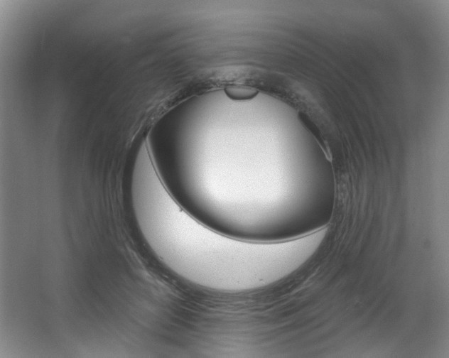 X0000068740504200604281020