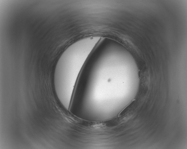 X0000068740505200604281020