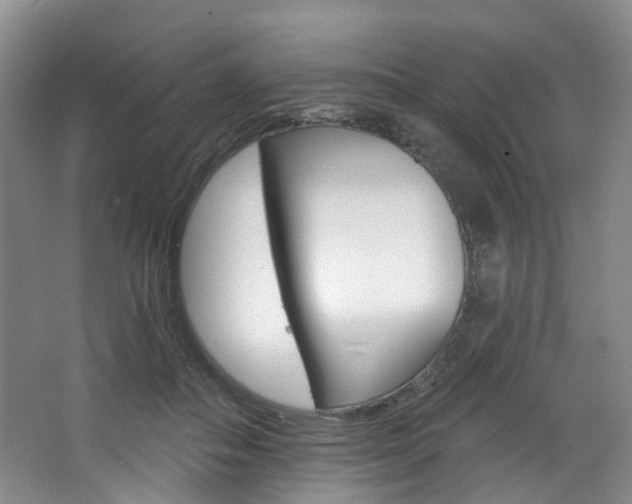 X0000068740506200604281020