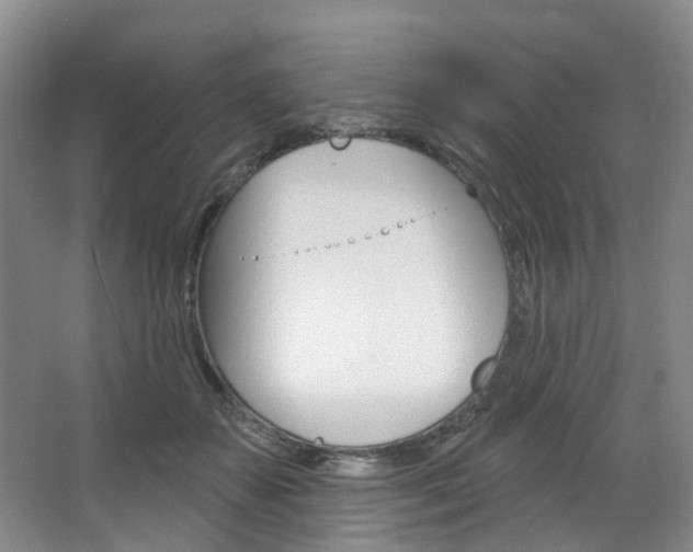 X0000068740507200604281020