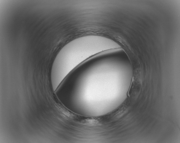 X0000068740509200604281019