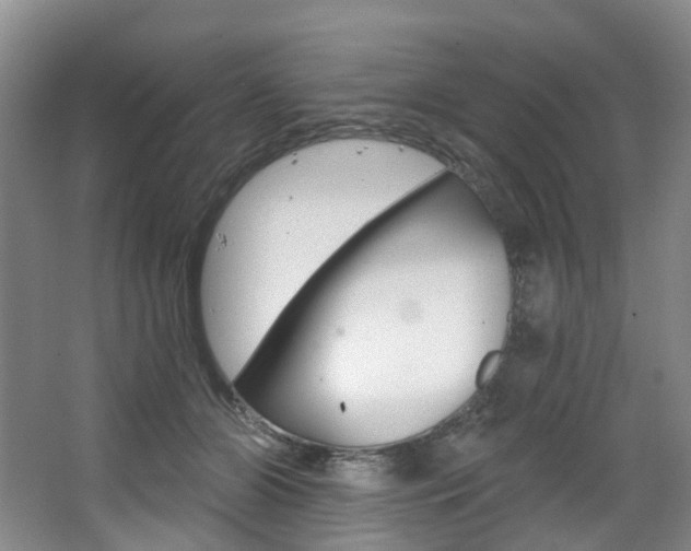 X0000068740510200604281019