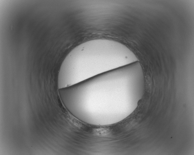 X0000068740511200604281019