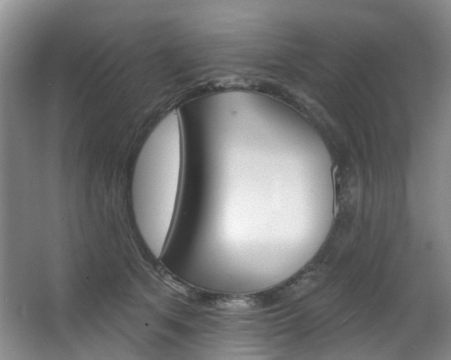 X0000068740513200604281019