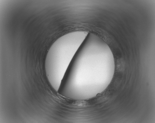 X0000068740514200604281019