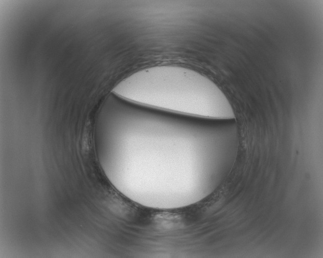 X0000068740515200604281019