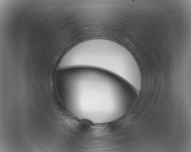 X0000068740516200604281019