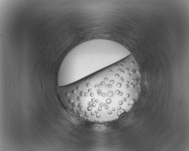 X0000068740519200604281019