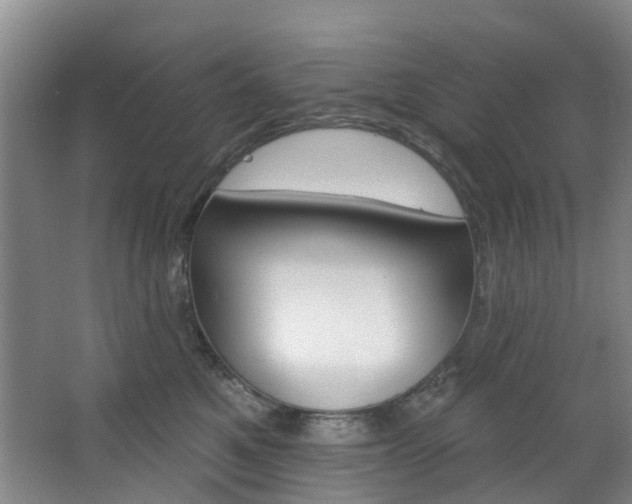 X0000068740521200604281019