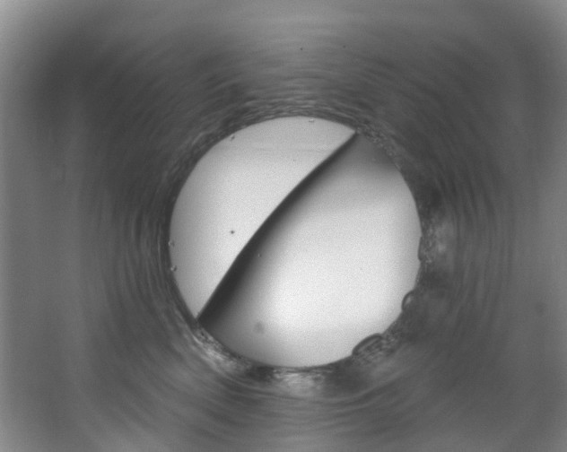 X0000068740522200604281019